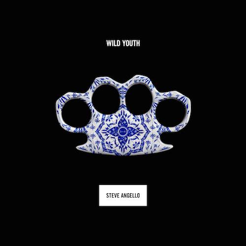 Steve Angello