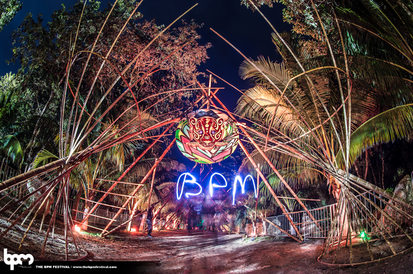 plexipr_BPM2016Jan12NightDiynamicJUNGLEPP6502_1