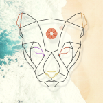 RHA Festival regresa a la Riviera Nayarit