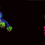 BORN IN MEXICO WEEKEND 2018